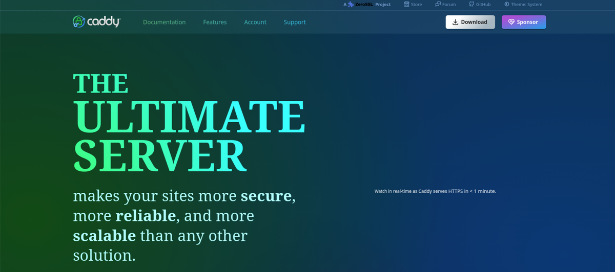 Vuoi un reverse Proxy da gestire in pochi minuti? Caddy è la soluzione