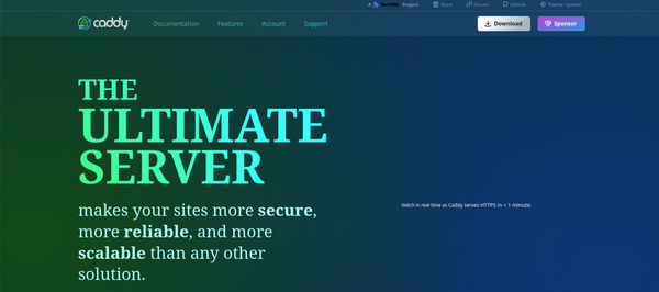 Vuoi un reverse Proxy da gestire in pochi minuti? Caddy è la soluzione